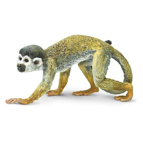 Squirrel Monkey Toy | Incredible Creatures | Safari Ltd®