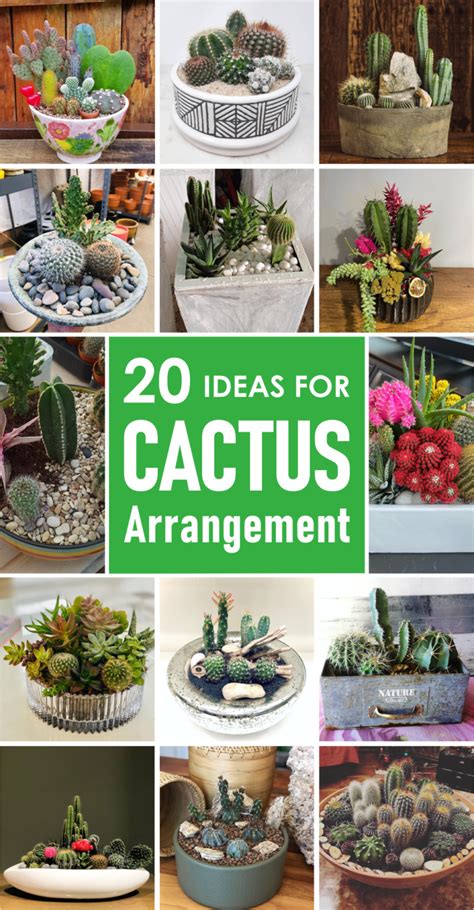 20 Ideas for Cactus Arrangement for Your Summer Decoration - Talkdecor