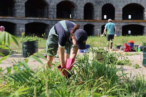 Volunteer in Portland's Parks — Portland Parks Conservancy