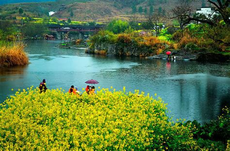 spring scenery, Wuyuan Village, Jiangxi village China, China Village Photos - Easy Tour China