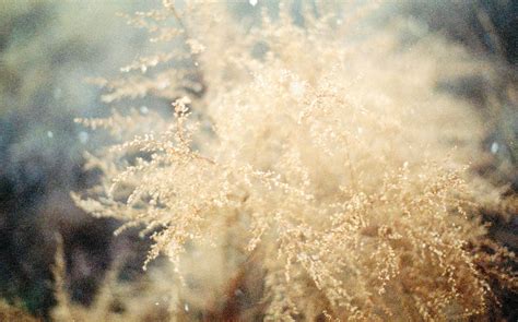 Green Plants on Brown Soil · Free Stock Photo