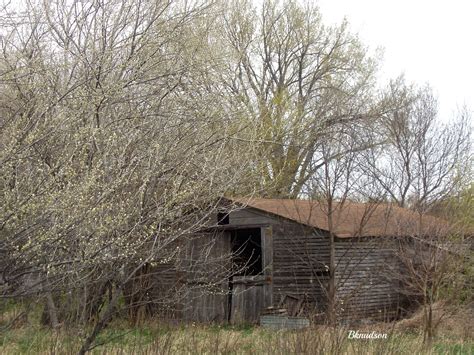 Grandma Barbs This and That: Abandoned Barns