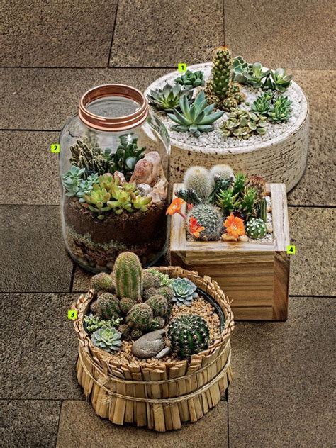 15+ Awesome Mini Cactus Gardens | Jardim de cactos exterior, Suculentas, Jardim de suculentas