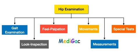 What are the examinations of Hip Joint – MediGac