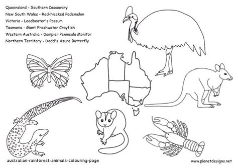 Free colouring page about Rainforests in Australia & animals that live ...