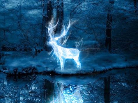 🔥 Download Take Pottermore S New Patronus Quiz To Find Out If You Re A by @jordanf31 | Harry ...