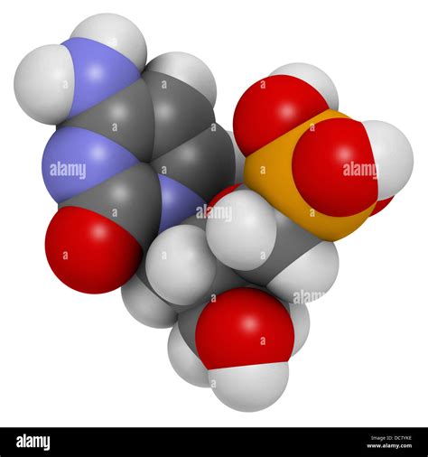 Cidofovir cytomegalovirus (CMV, HCMV) drug, chemical structure. Can ...