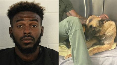 Man wanted in 2 metro counties accused of shooting Bartow K9, remains ...