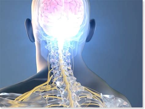 Pain Modulation Definition - Ascending & Descending Pathways | Pain Points of View | Pain Points ...