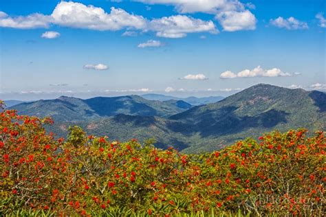 Top 18 Blue Ridge Parkway Hiking Trails