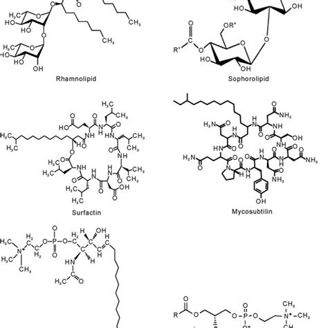 Structure of some biosurfactants. Adapted from... | Download Scientific ...