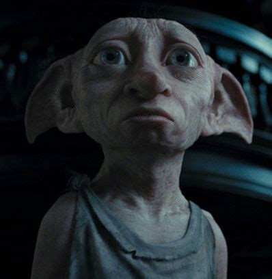 Who is best Dobby or Winky? | Harry Potter Amino