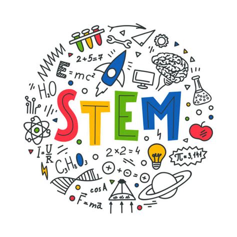 Inspiring Women in STEM Assembly – Bloxwich Academy