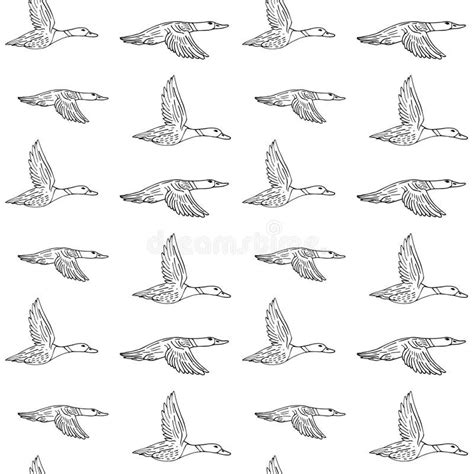 Vector Seamless Pattern of Hand Drawn Flying Duck Stock Illustration - Illustration of design ...