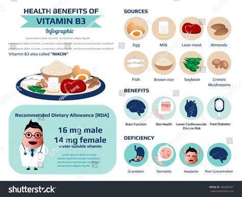 Health Benefits Vitamin B3 Niacin Nutrition: vetor stock (livre de ...