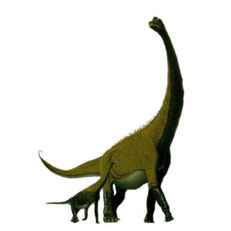 Astrodon Pictures & Facts - The Dinosaur Database