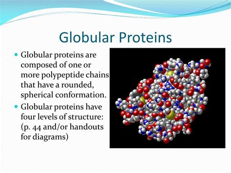 PPT - Proteins PowerPoint Presentation, free download - ID:6350973