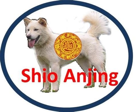 Shio Anjing