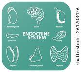 Adrenal Glands Diagram Illustration Free Stock Photo - Public Domain ...