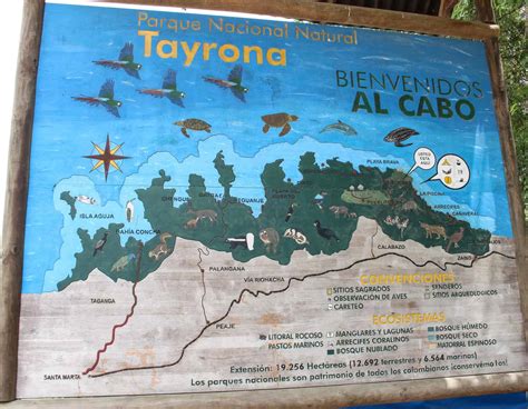 Your Complete Guide to Visiting Tayrona National Park - Getaway Compass