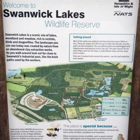 Dog walk at Swanwick Nature Reserve · Hampshire · Walkiees