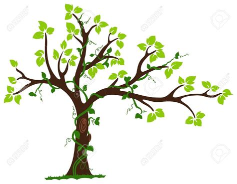 vine and the branch clipart 10 free Cliparts | Download images on ...