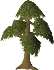 Yew tree (Farming) - OSRS Wiki