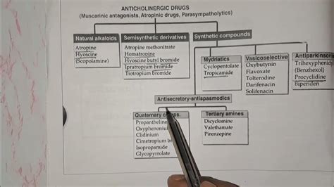 Anticholinergic Drugs Classification | Pharmacology | Pharma Vidya ...