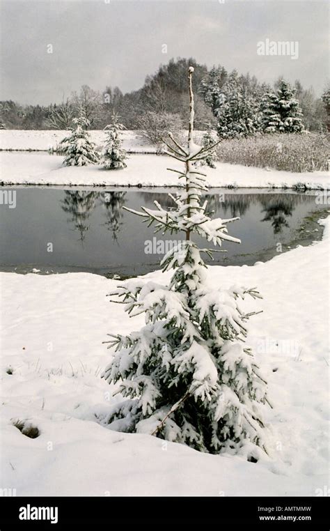 Winter in Estonia Stock Photo - Alamy