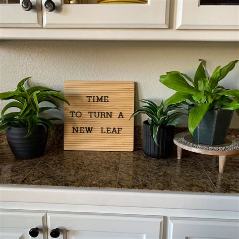 Best Spring Letter Boards Plus Quotes about Mardi Gras