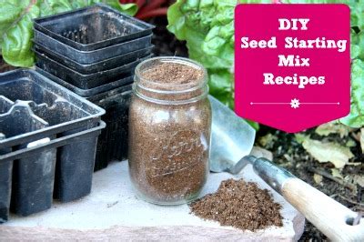 DIY Seed Starting Mix Recipe