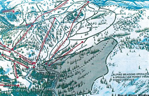 40th anniversary of Alpine Meadows’ avalanche - Tahoe Guide