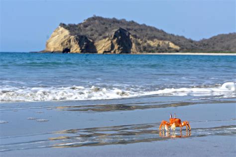 Playa Los Frailes - On the beach at Los Frailes, north of Montanita, Ecuador. | Enchanted island ...