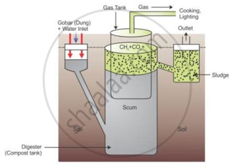 Explain in brief the biogas production process with the help of a labelled figure. - Biology ...