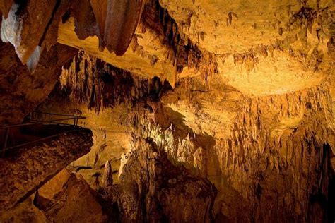 Rio Camuy Cave Park (Parque Nacional de las Cavernas del Río Camuy ...