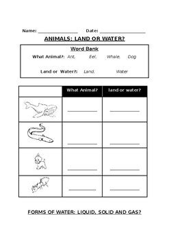 Primary Science Worksheet Collection Bundle (20 Worksheets/20 Pages)