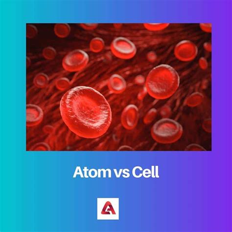 Atom vs Cell: Difference and Comparison