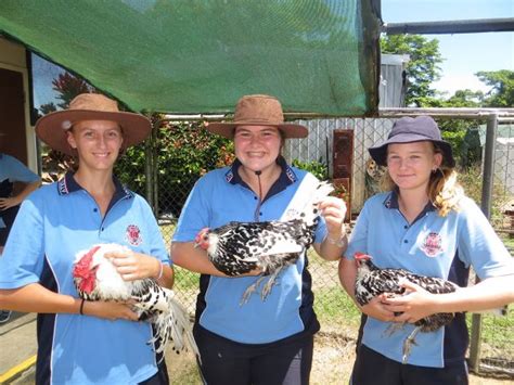 Tully State High School - Gateway to Industry Schools Program - Queensland Farmers' Federation