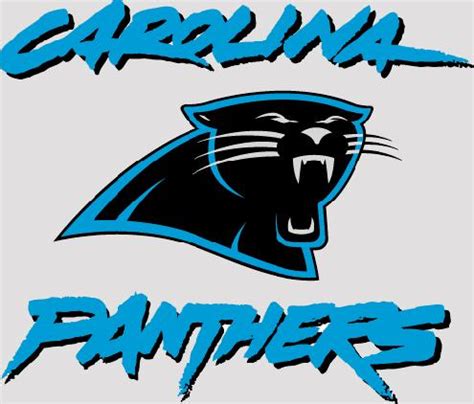 Carolina Panthers Team History