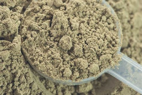 Hemp Protein Powder: Everything You Need To Know - Onnit Academy