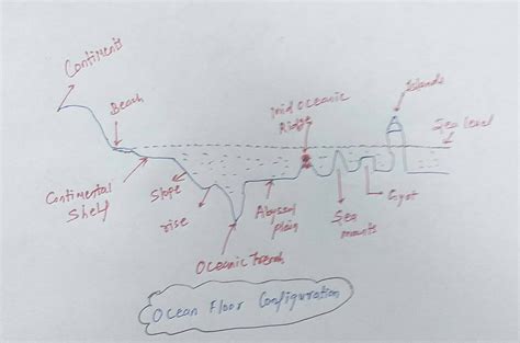 Ocean Floor Diagram Class 11