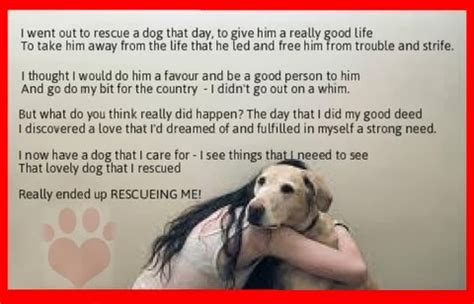 Pets N More: Inspiring Quotes For People Who Love Animals