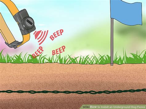 3 Ways to Install an Underground Dog Fence - wikiHow