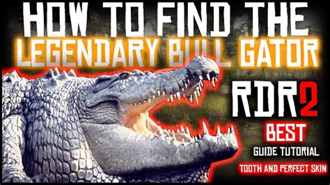 HOW TO FIND THE LEGENDARY BULL GATOR ALLIGATOR | PERFECT CROCODILE SKIN ...