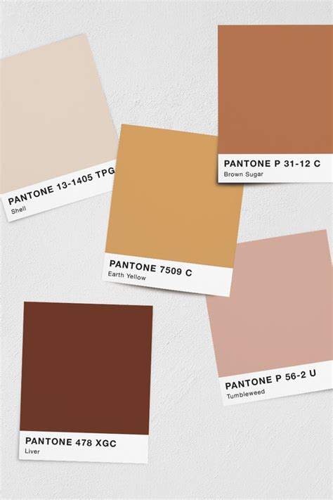 Warm Colors in 2021 | Color palette design, Aesthetic colors, Brand color palette | Brand color ...