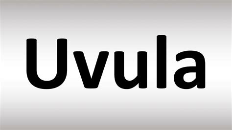 How to Pronounce Uvula - YouTube