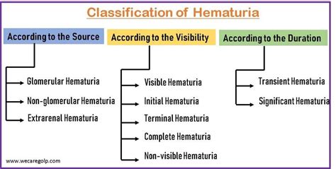 Hematuria (Blood in the Urine) - We Care