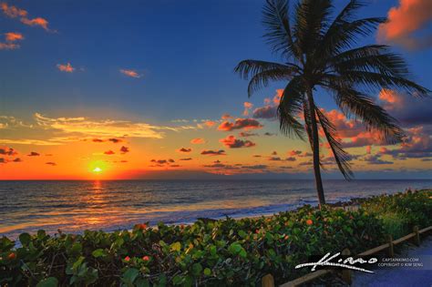 Coral Cove Sunrise Coconut Tree Ocean at Beach | HDR Photography by ...