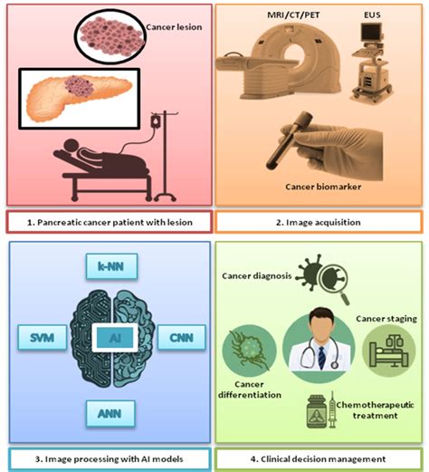 Cancers | Free Full-Text | Artificial Intelligence-Driven Diagnosis of ...