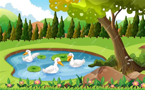 Premium Vector | Three ducks swimming in the pond